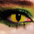 JOR LENSES Wildcat Creature contact lens