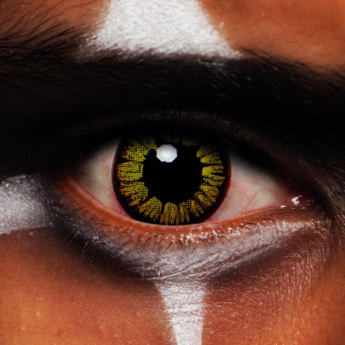 JOR LENSES Golden Vampire Gothic contact lens