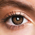 JOR LENSES Hazel Brown Natural Brown contact lens