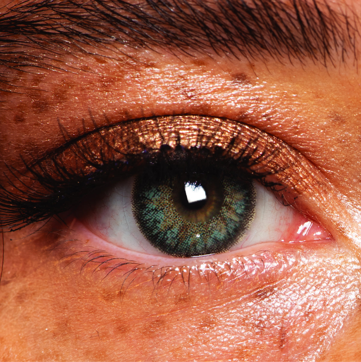 JOR LENSES Sherwood Forest Natural Green contact lens